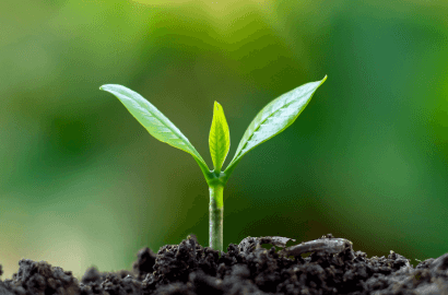 Modelo-de-negocio-circular (2) (1)