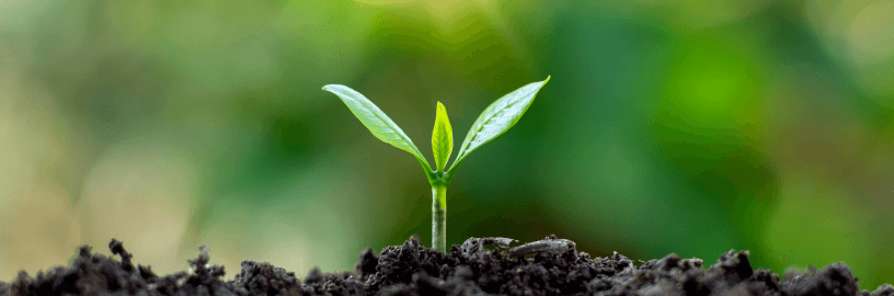 Modelo-de-negocio-circular (2) (1)